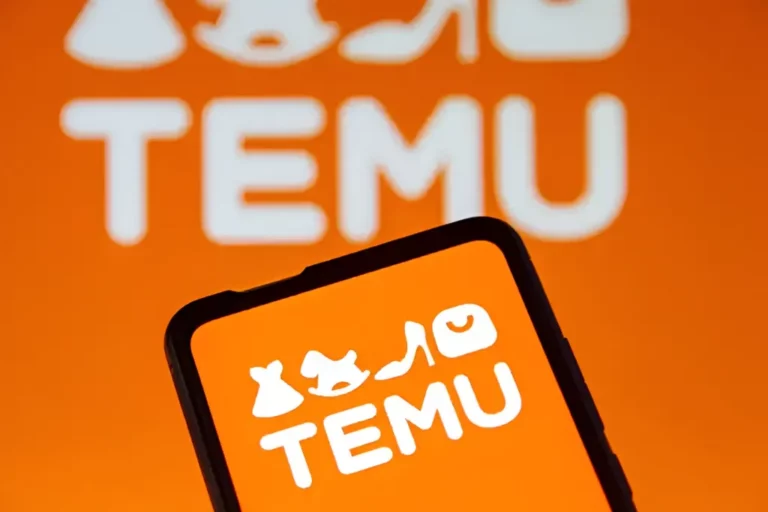 Cómo vender en Temu: ventajas y desventajas para pequeñas empresas en España 5 Como Vender En Temu