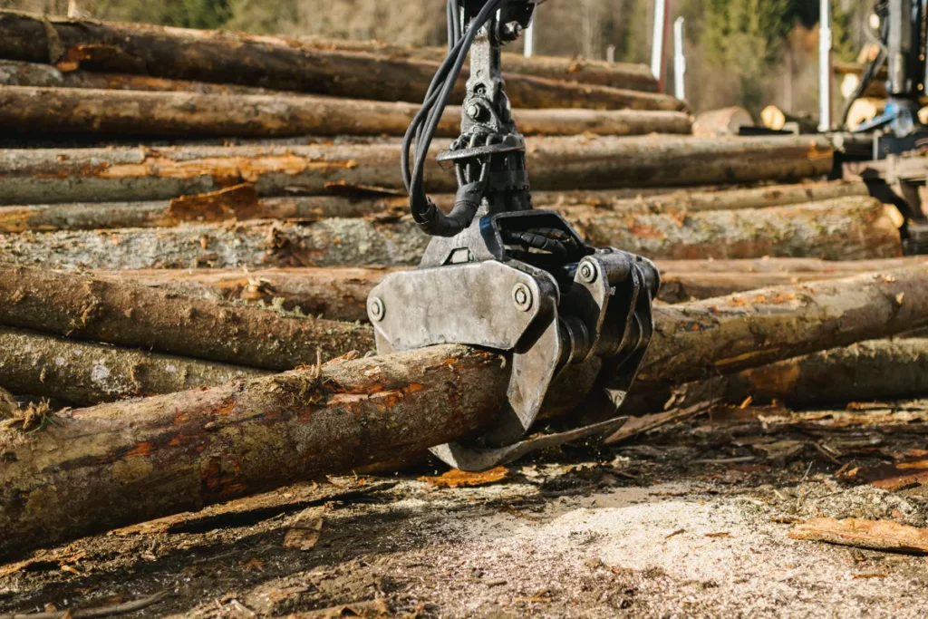 Vender Empresa Forestal Por Cierre 