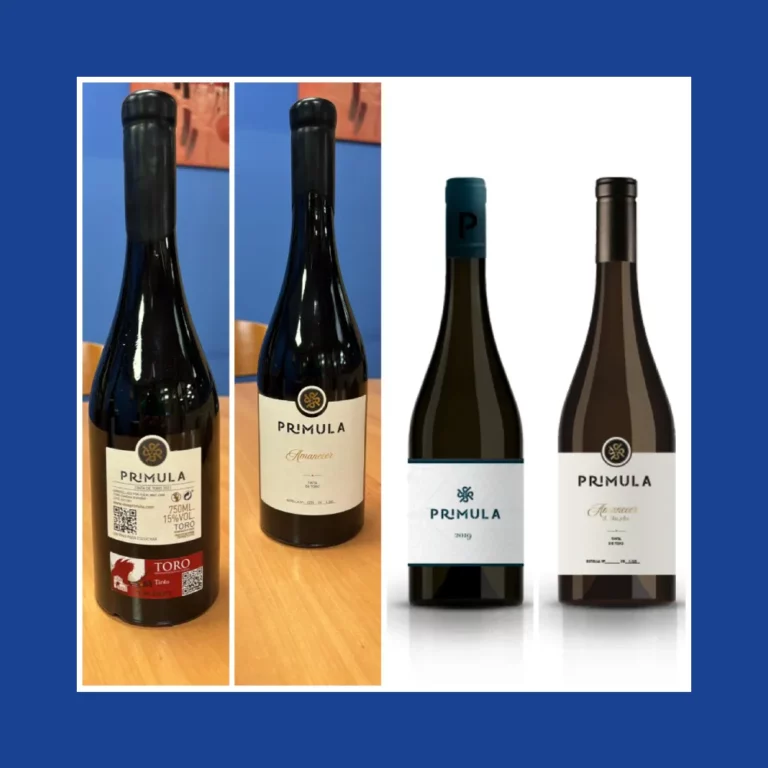 Lote de vinos DOP Vino de Toro