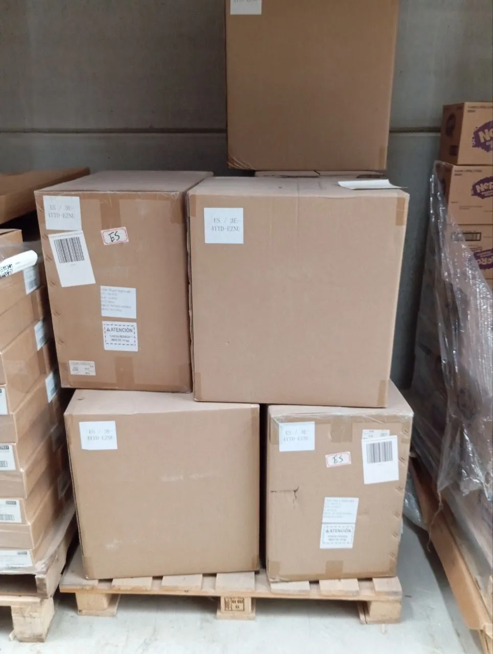 Lote Twistshake Bebé E Infantil (14)