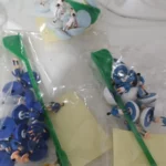 Imagen 5